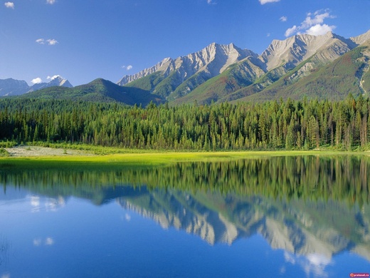 nature322.jpg